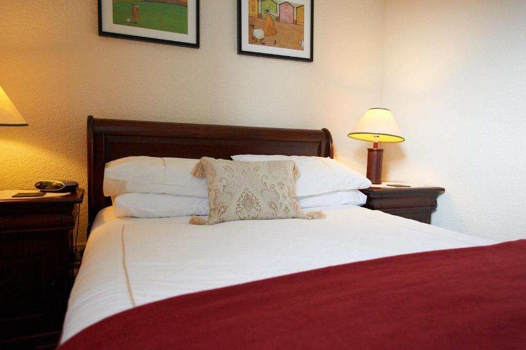 Buckley Arms Hotell Dinas Mawddwy Rom bilde