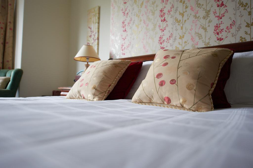 Buckley Arms Hotell Dinas Mawddwy Eksteriør bilde